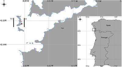 Feeding Relationship between Octopus vulgaris (Cuvier, 1797) Early Life-Cycle Stages and Their Prey in the Western Iberian Upwelling System: Correlation of Reciprocal Lipid and Fatty Acid Contents